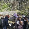 primaria_fosdinovo_004