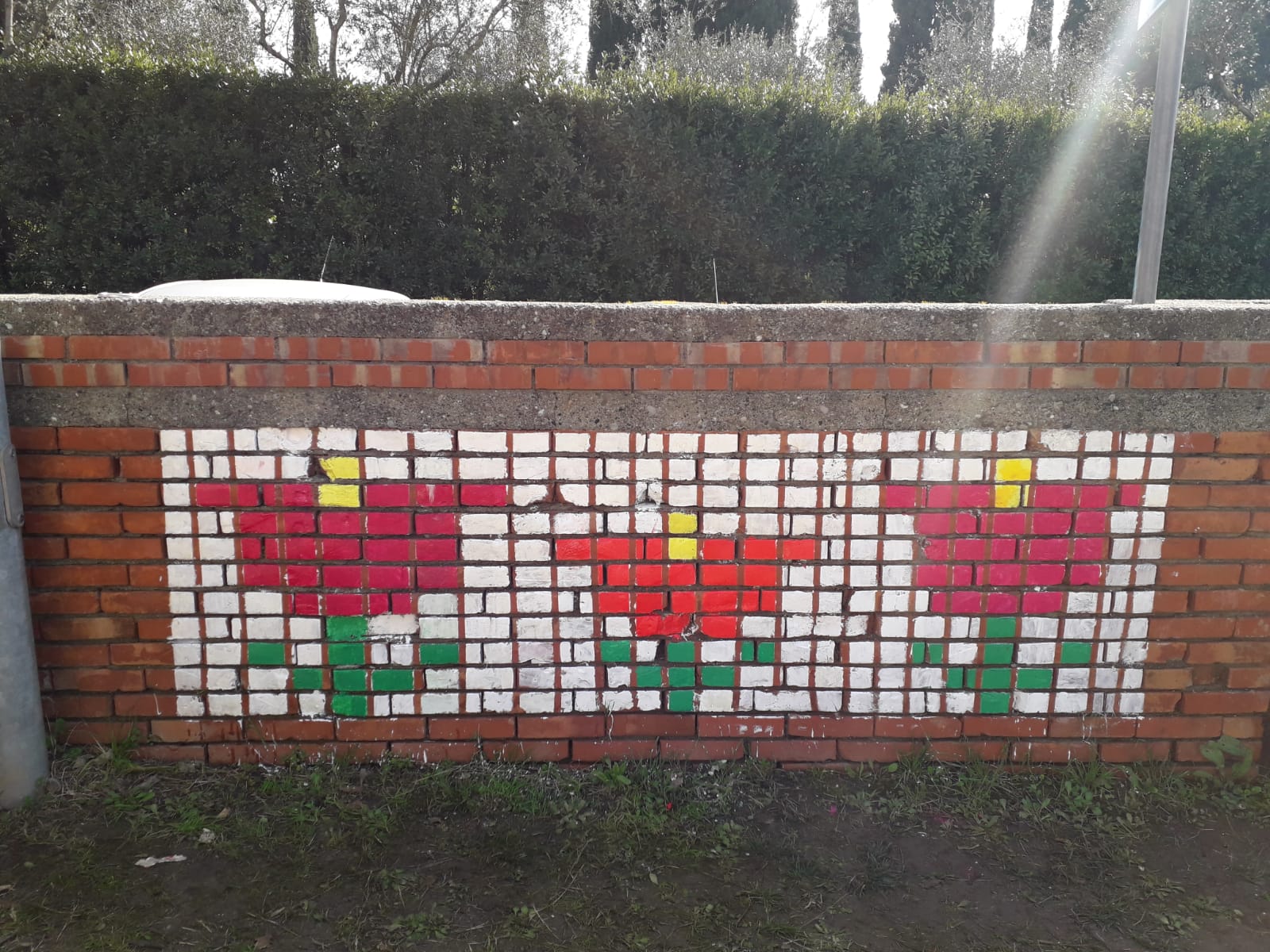 fiori 