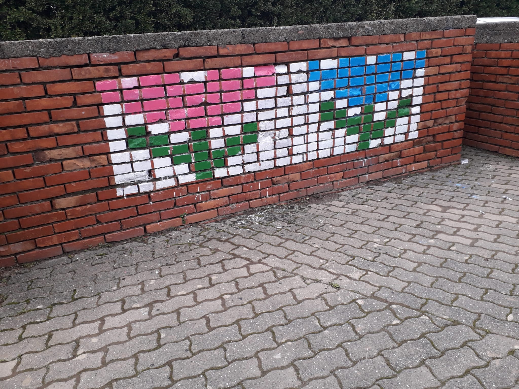 fiori blu e rosa
